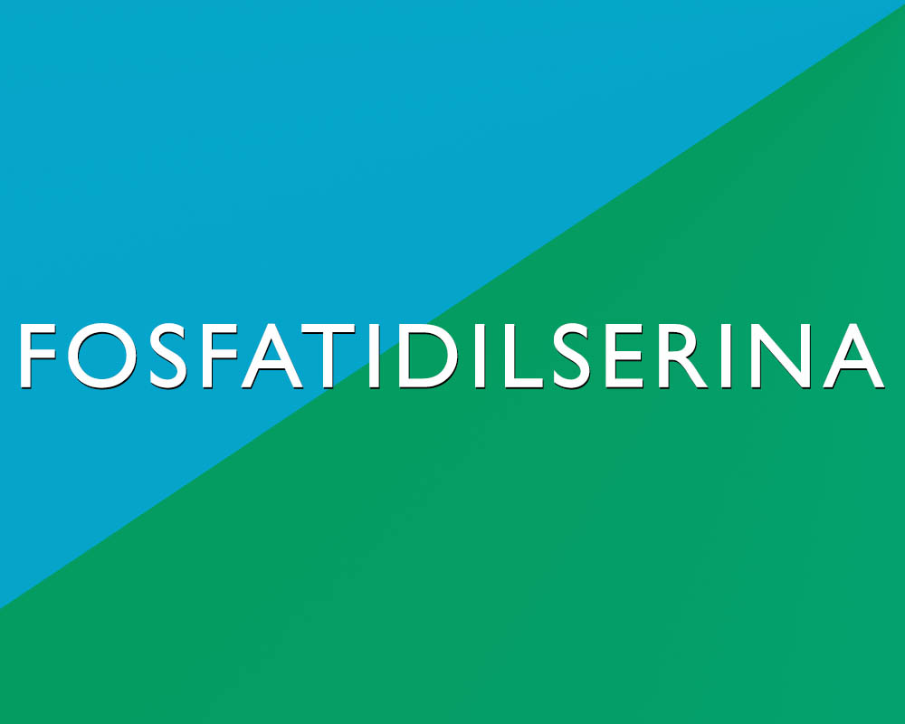 Fosfatidilserina